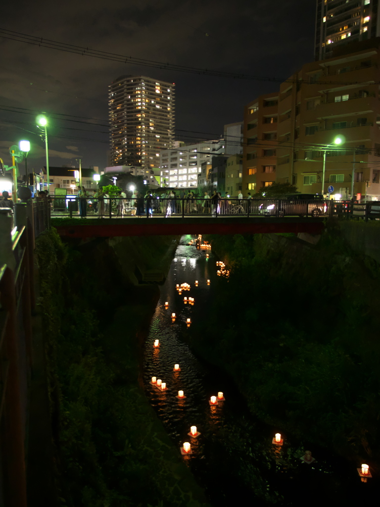 横浜　大岡川灯籠流し　2018・2