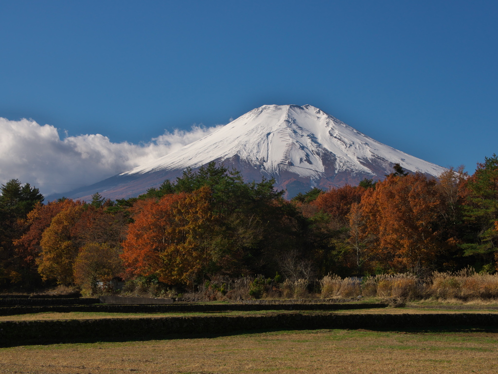 山中湖村から富士