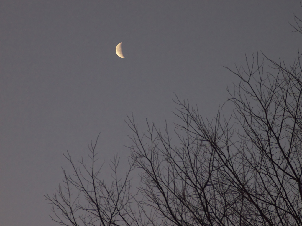 Half moon