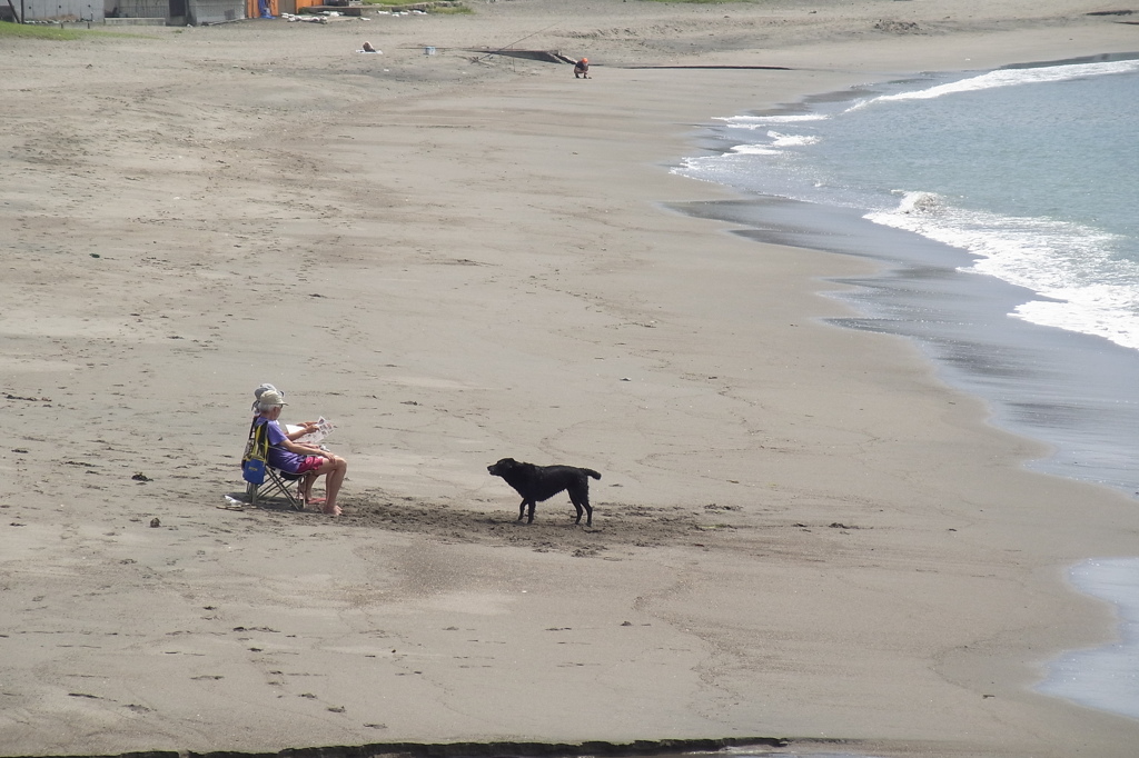 秋谷海岸にて