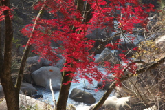 昇仙峡　2017秋　紅葉