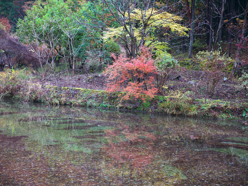 下芦川にて