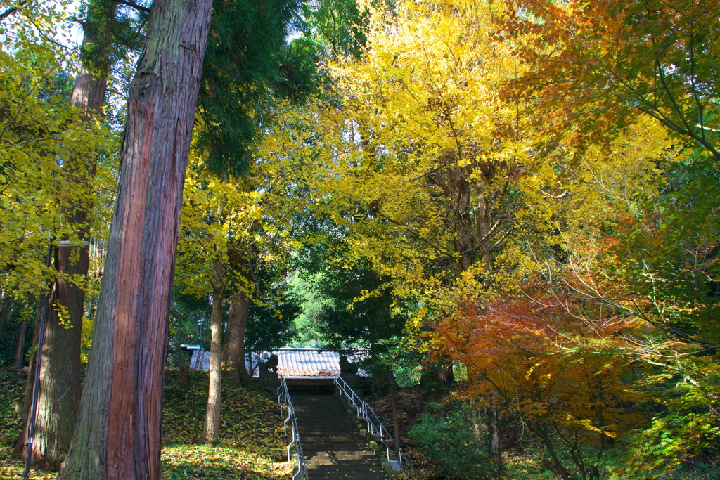 舞岡八幡宮