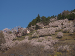 新倉山浅間公園