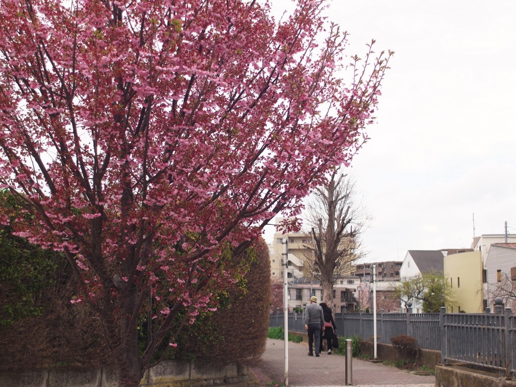 前田公園１