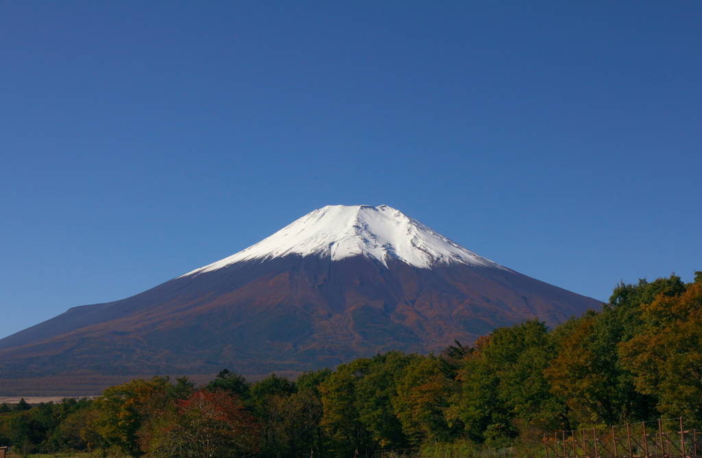忍野から富士