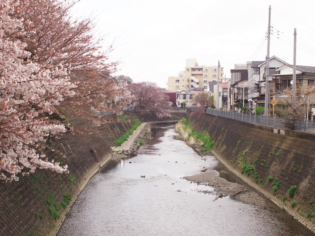 花見橋下流