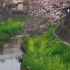 花見橋上流