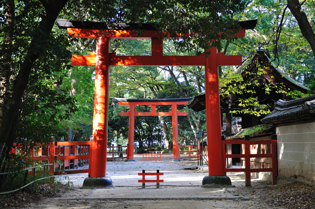 神社にて　②