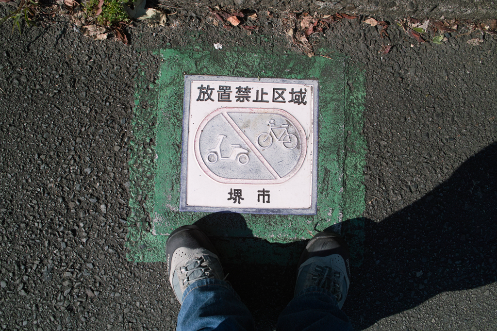 遠出しました。
