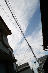 からまる　からまる