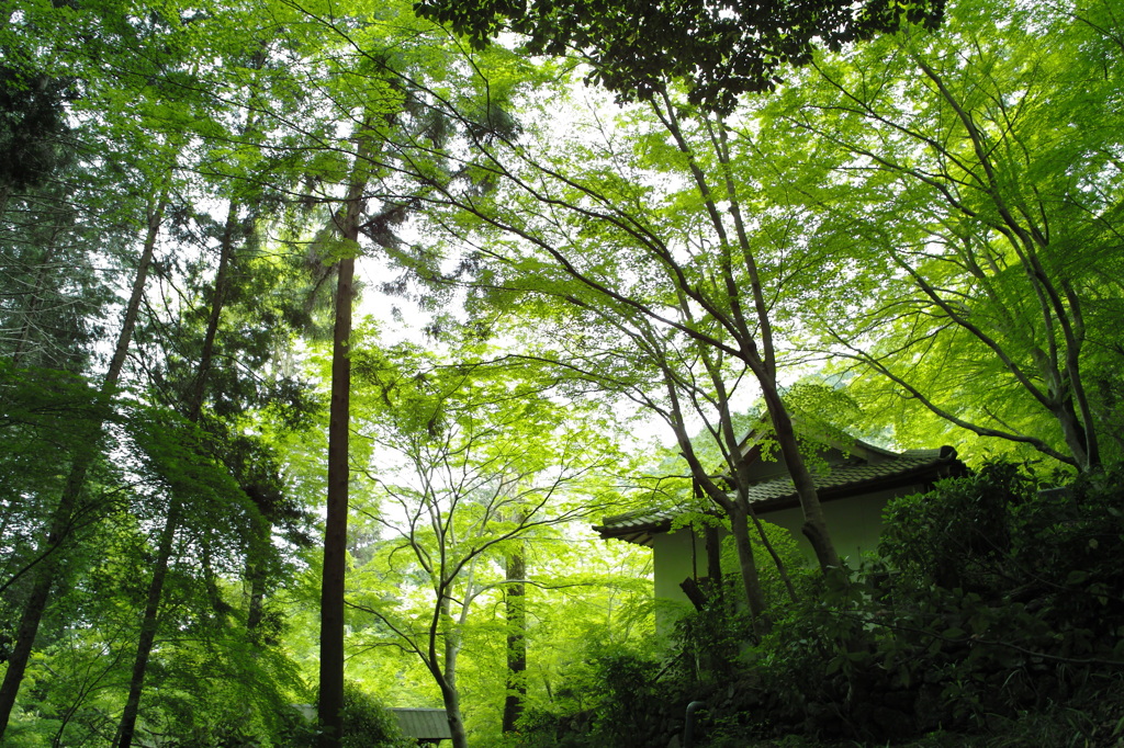 祐泉寺