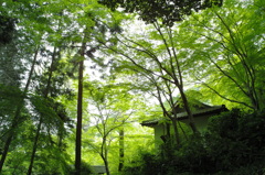 祐泉寺