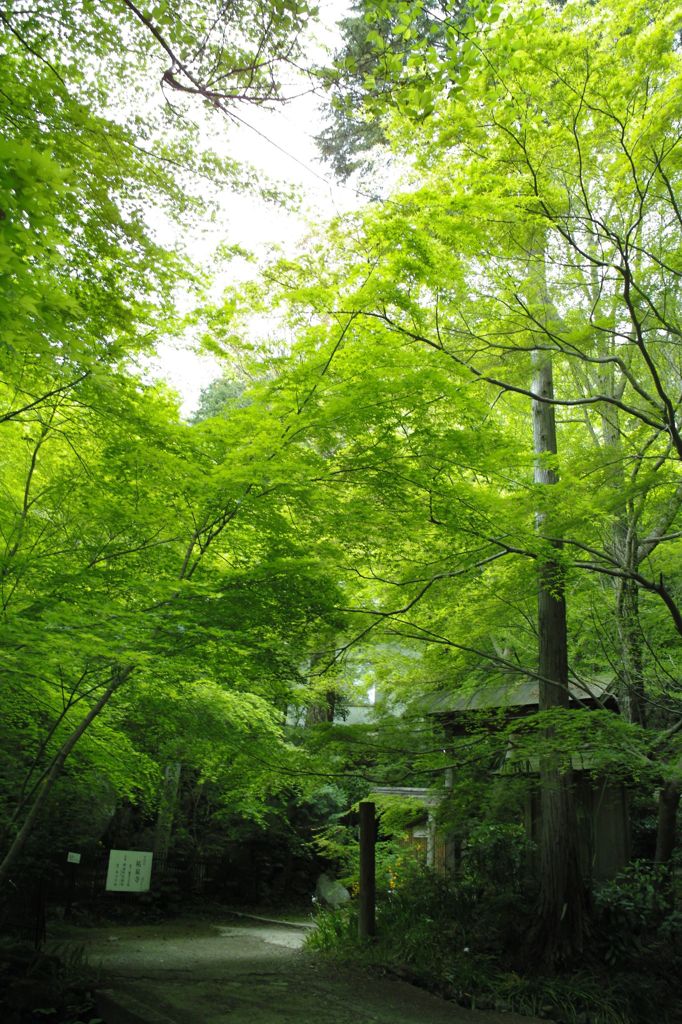 しっとり