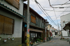 釣具屋とツタ