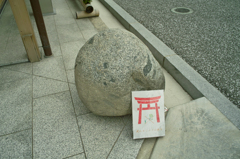 お犬様といえども