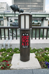 082906A16