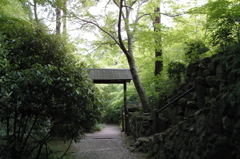 くぐると・・・