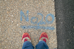 №20