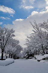 新雪と空と