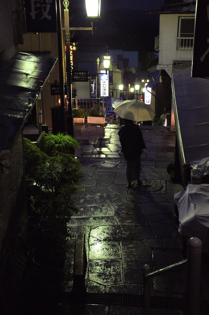 雨の石段