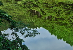 ダム湖の眺め