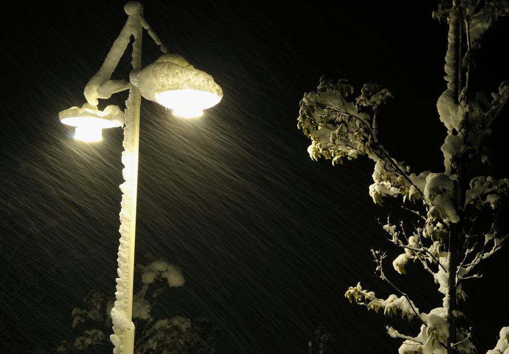 雪降る夜に