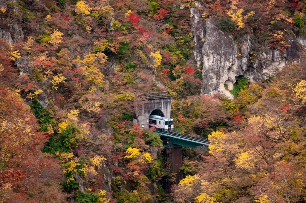 紅葉の陸東線