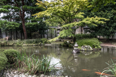 晩夏の庭園