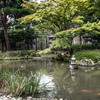 晩夏の庭園