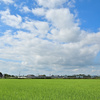 石巻線の夏