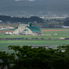 緑の水田を行く