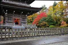 定義山五重塔御開帳