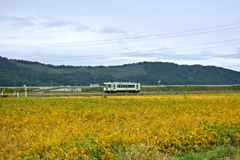 豆畑とJR石巻線