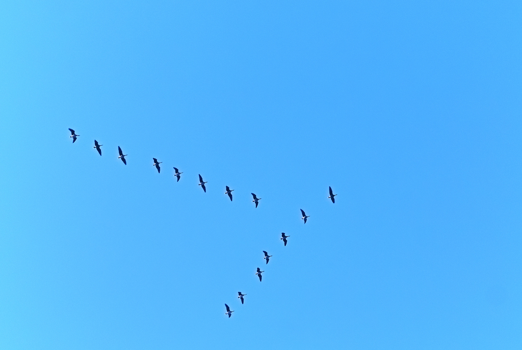 Where are you going?