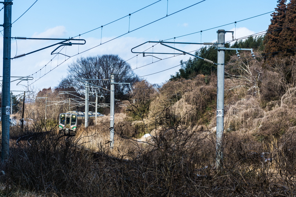 藪から電車