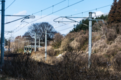 藪から電車
