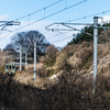 藪から電車
