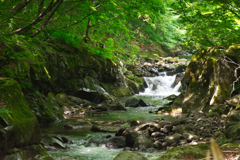 緑色の渓流