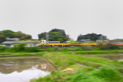わたし、忙しいんです