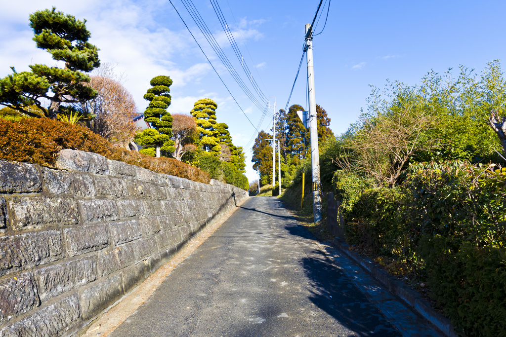 きょう通った道