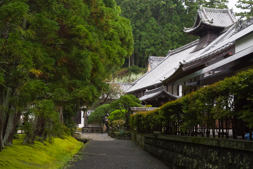 瑞巌寺界隈2
