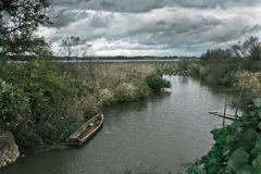 向寒のみぎり 向寒のみぎり