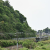 東北線普通の列車