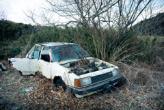 名車ひっそりと