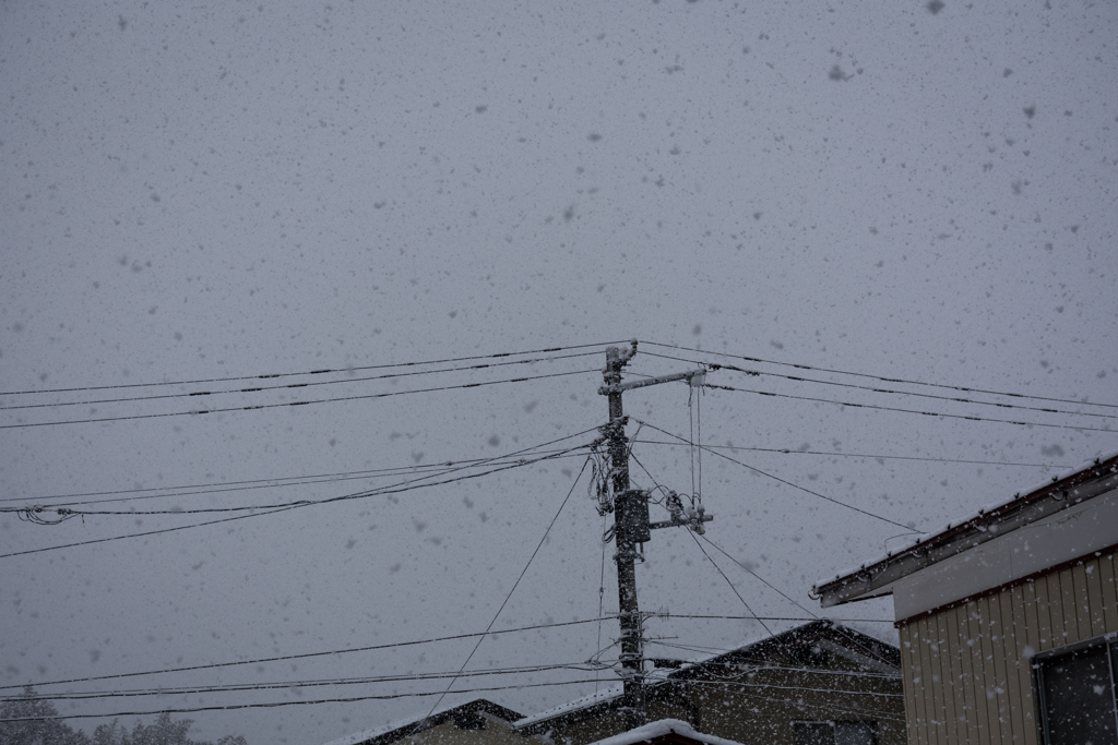 雪空を眺めて