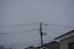 雪空を眺めて