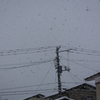雪空を眺めて