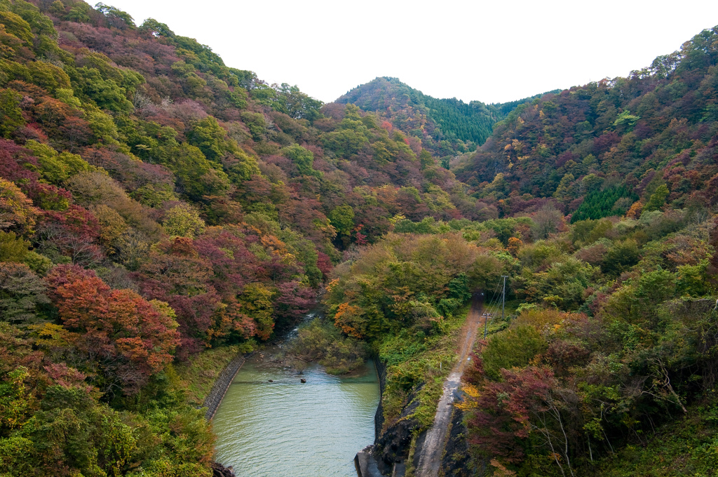 秋を訪ねて（2）