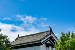 青空と鯱鉾